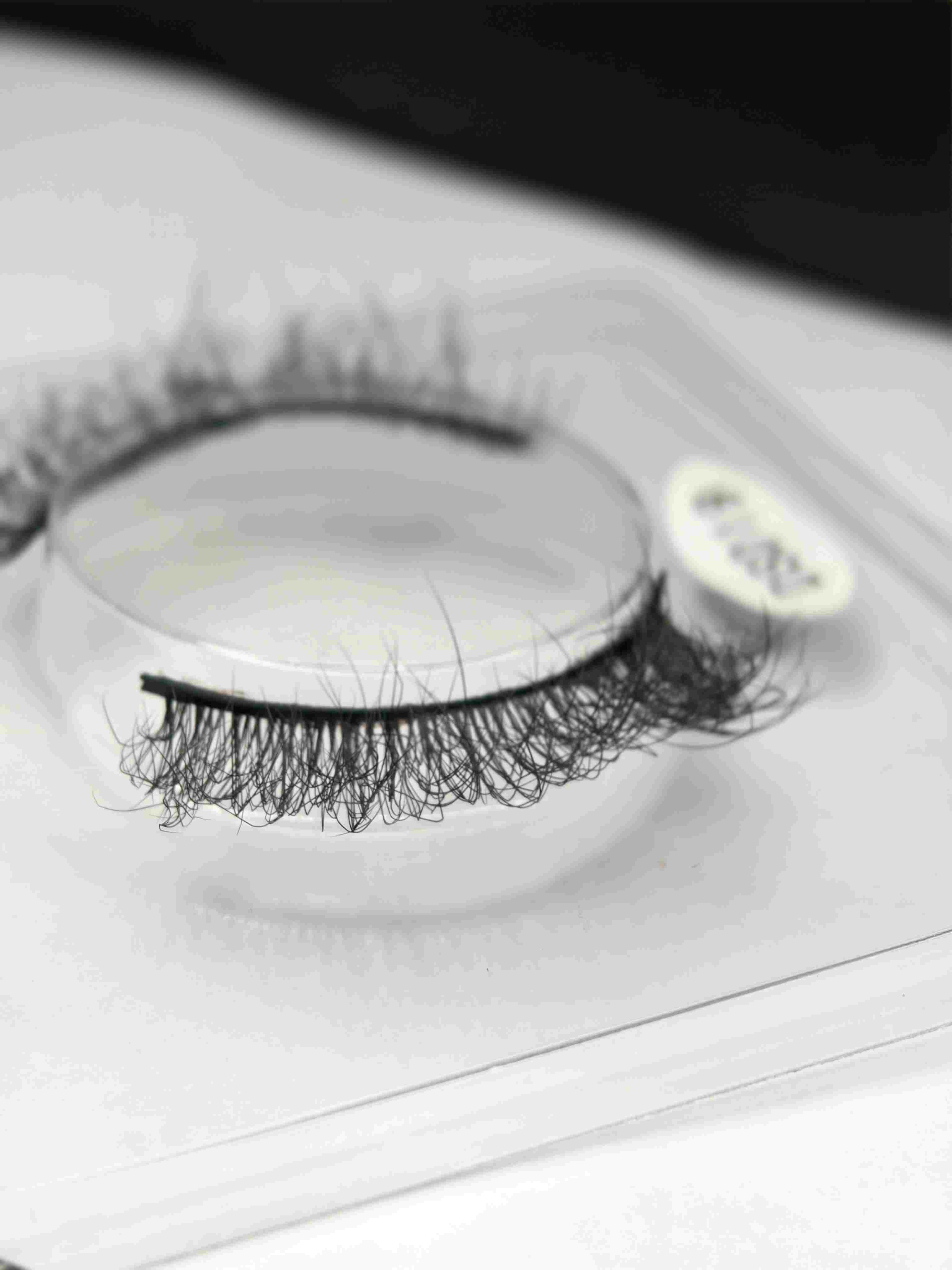 1 pair single lash-DSD19