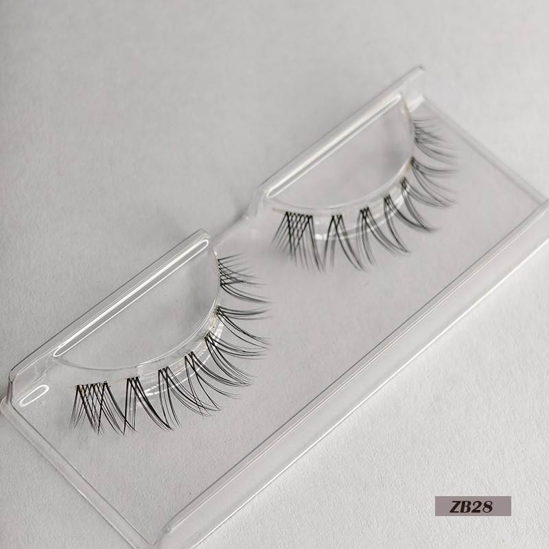 1 pair single lash-ZB28