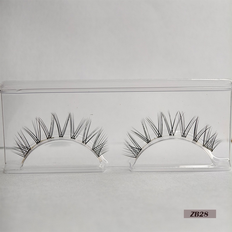 1 pair single lash-ZB28