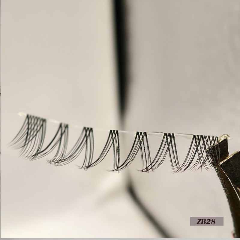 1 pair single lash-ZB28